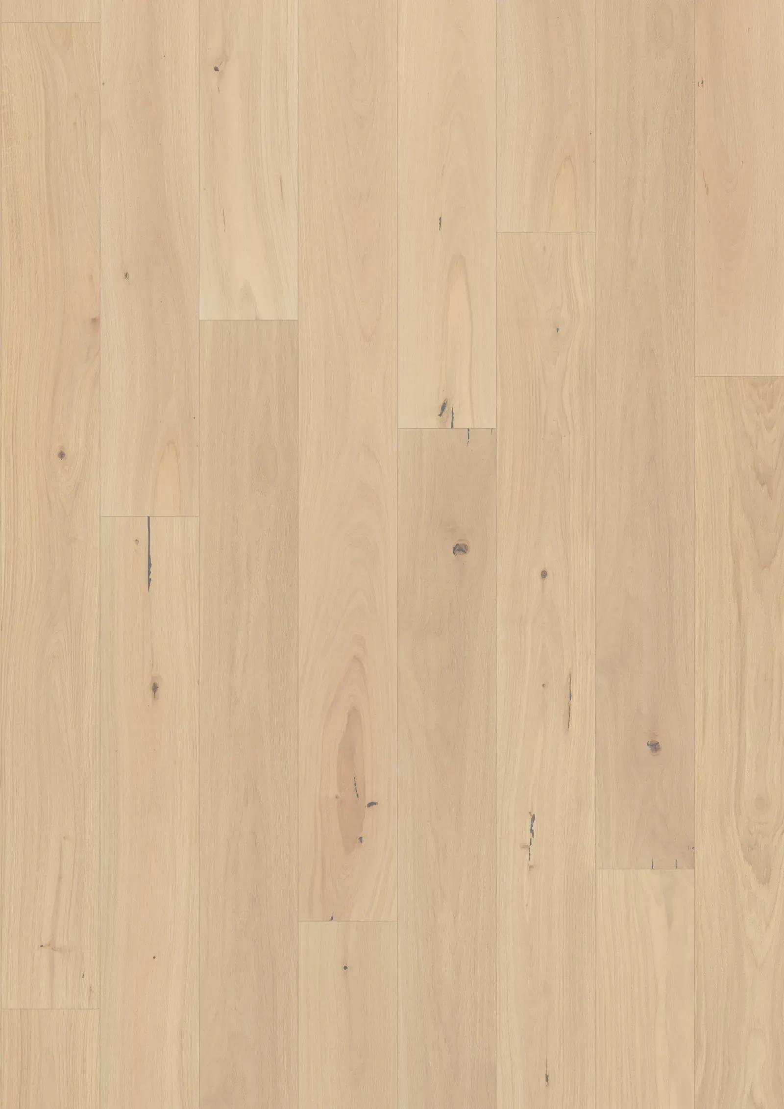 Sồi Piazza CD Crème White