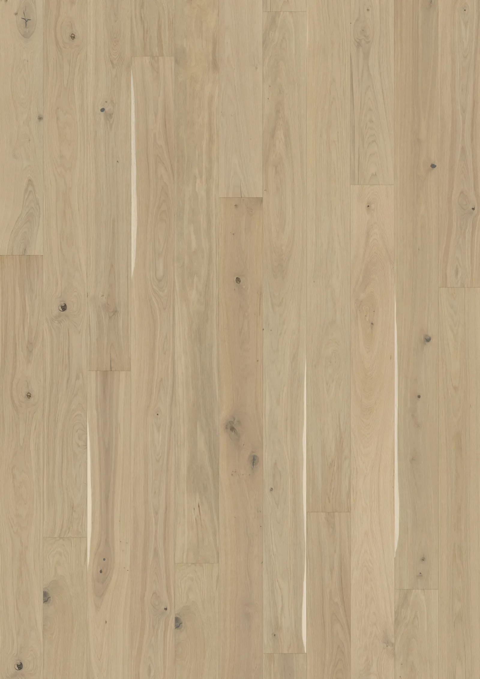 Sồi Eggshell