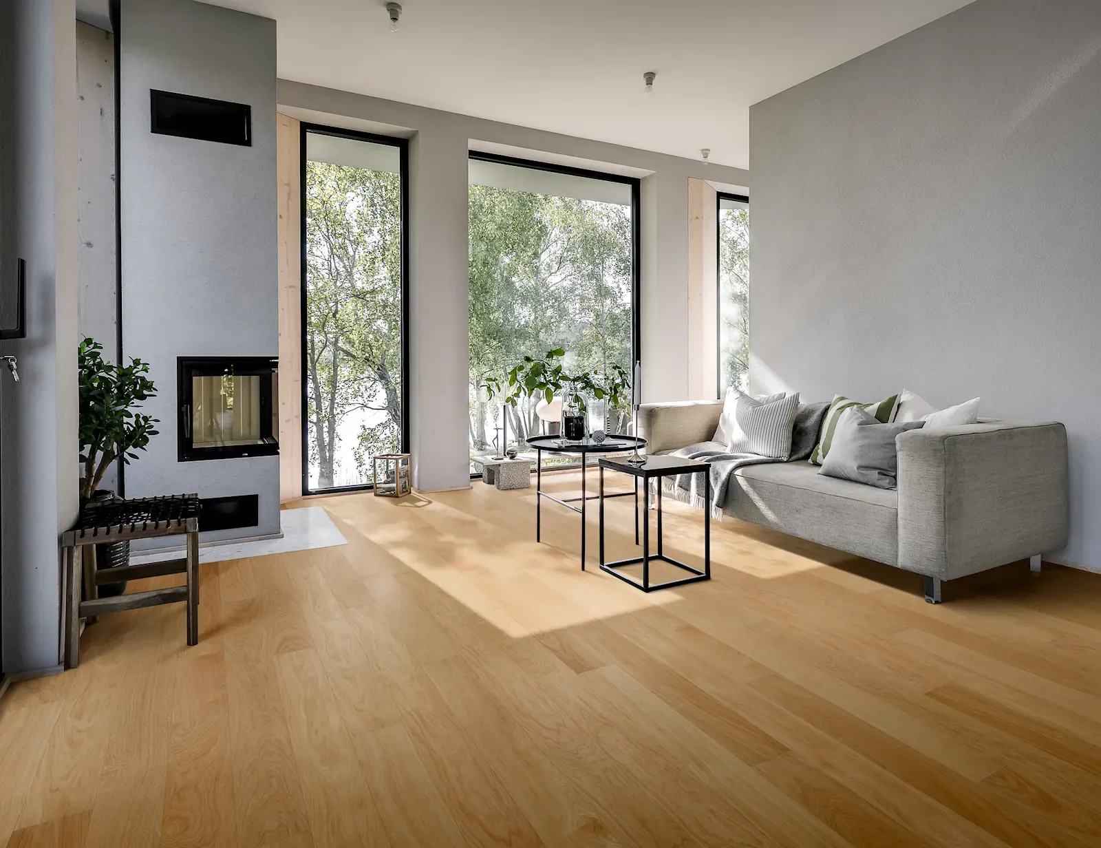 Sồi Dublin Siêu mờ khổ hẹp - view 7