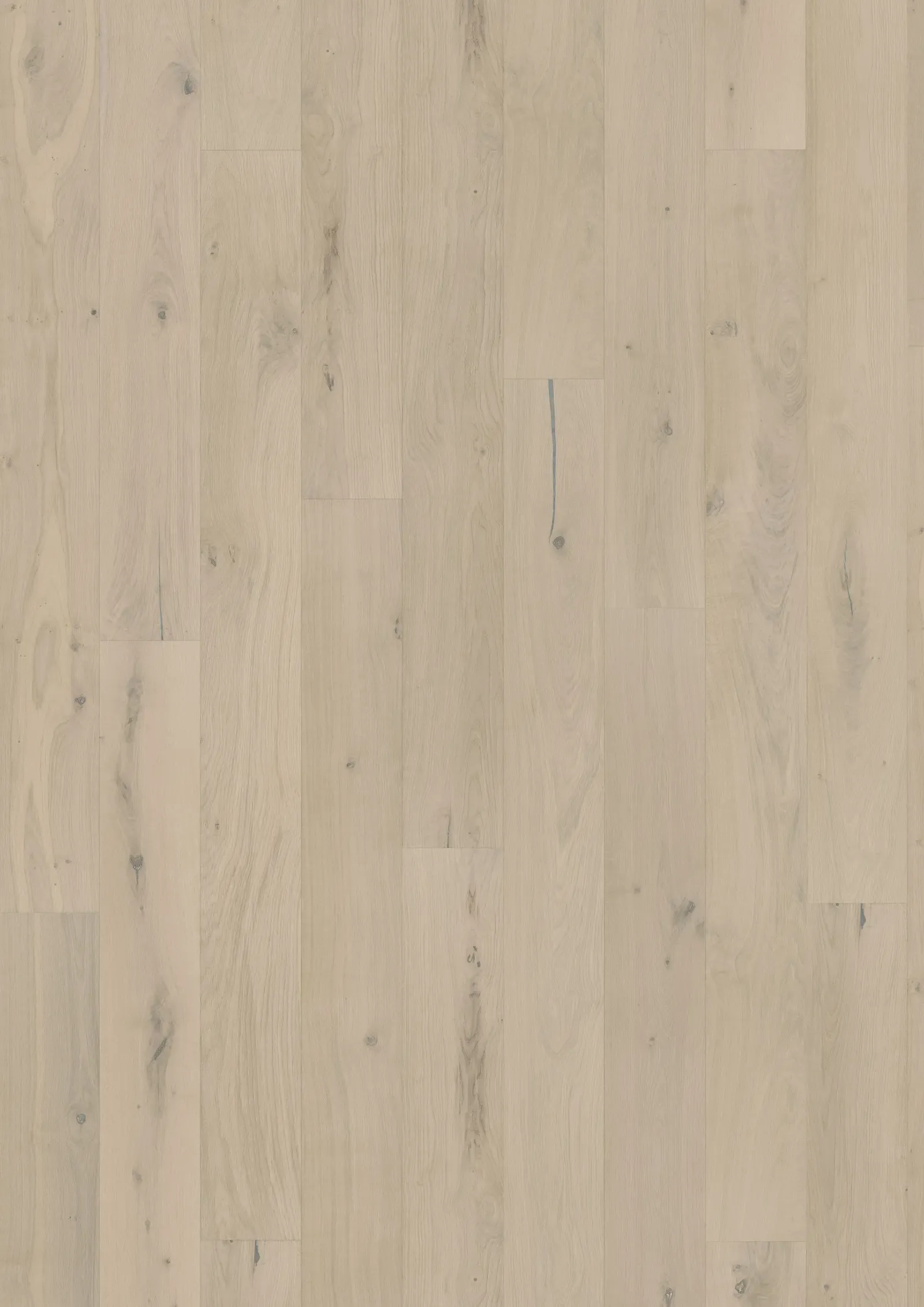 Sồi Loft White Ván sàn