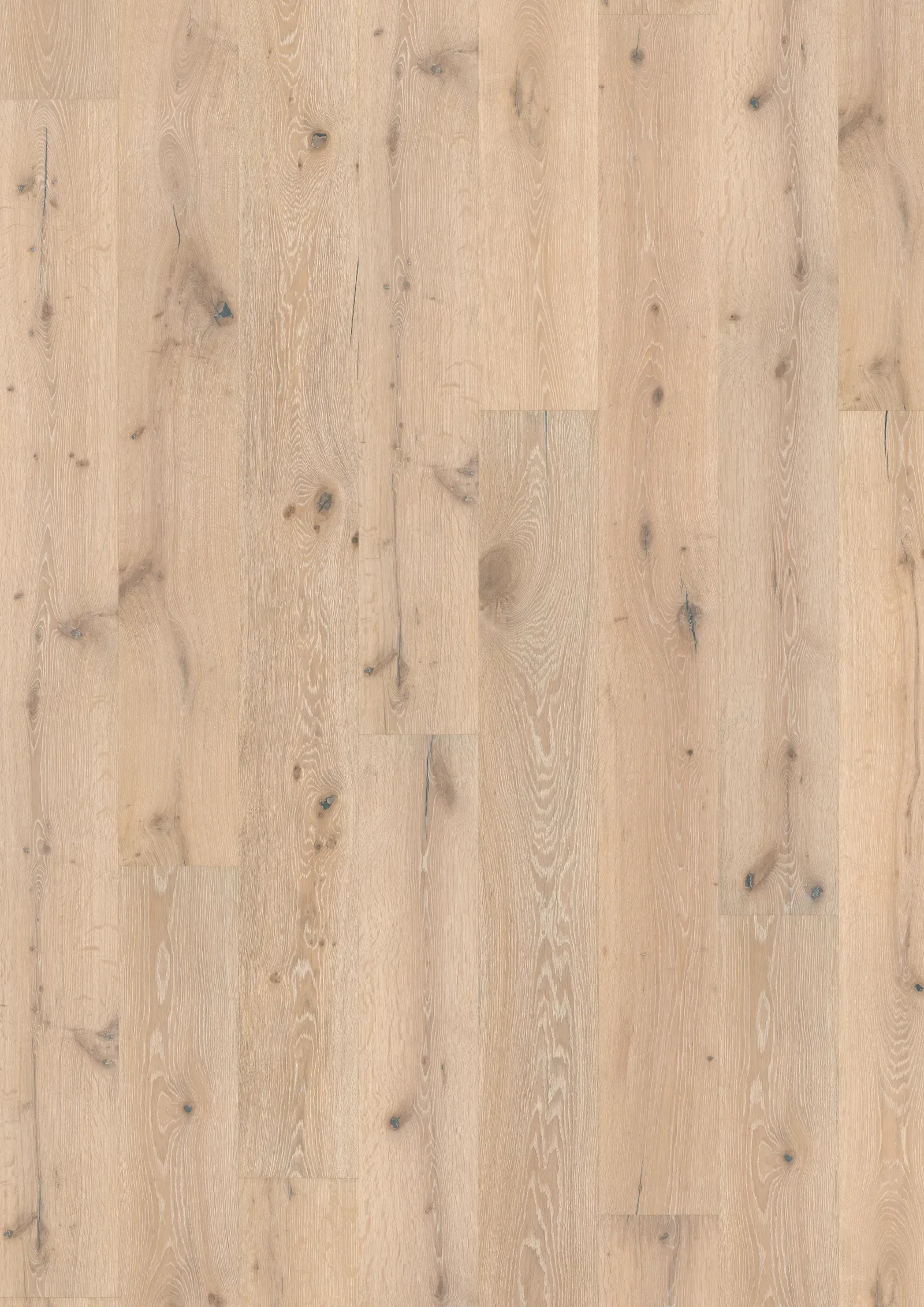 OAK ZEPHYR
