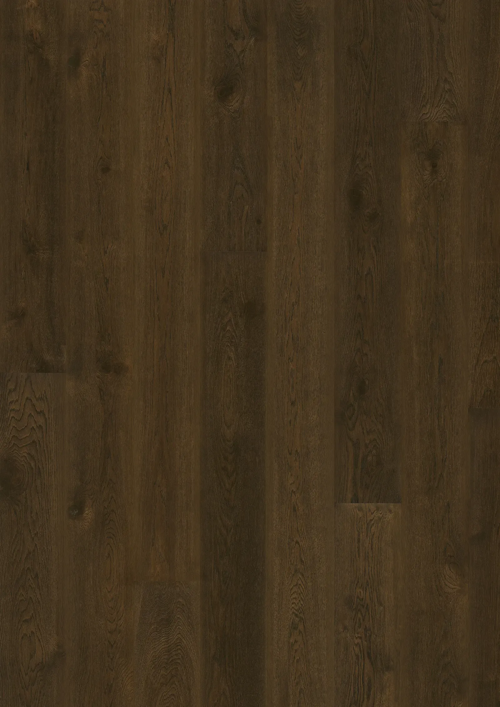 Sồi Nouveau Tawny