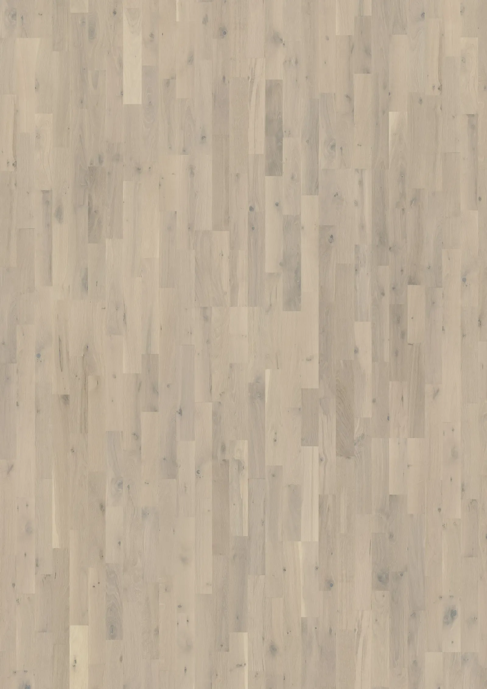 Sồi Loft White Thanh