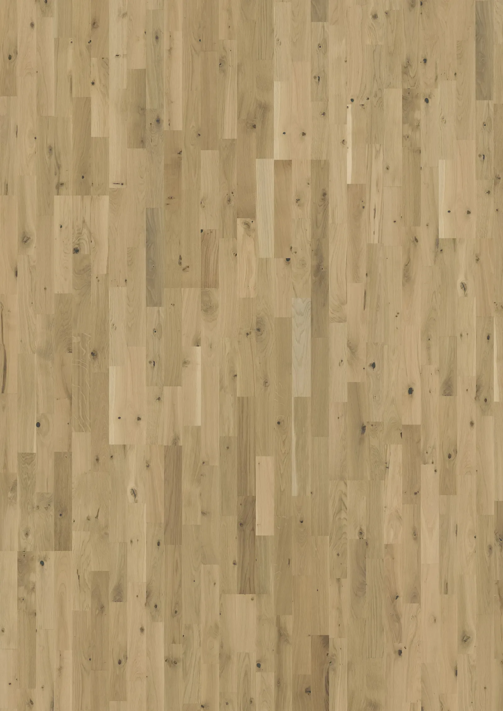 Sồi Urban Brown Thanh