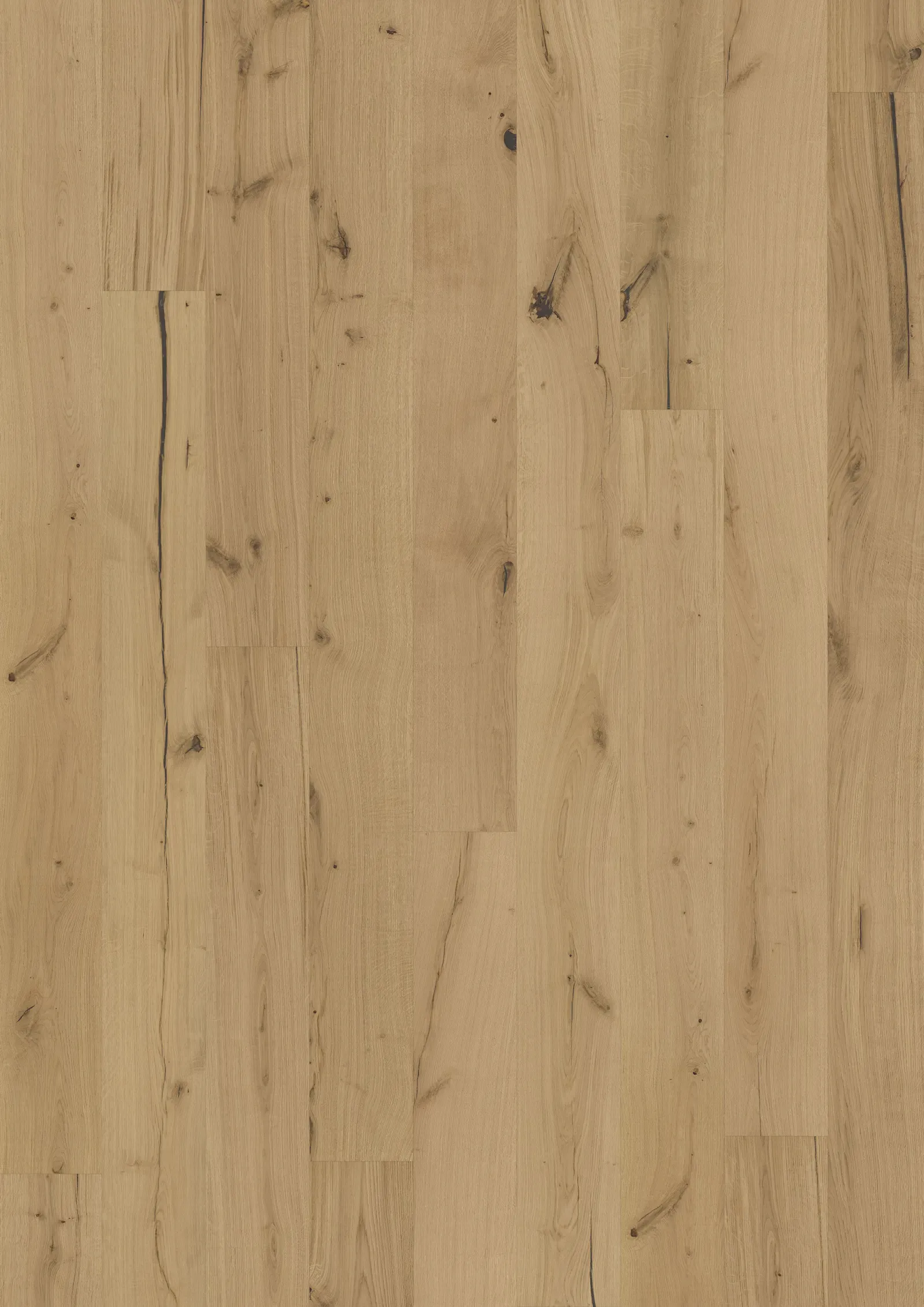 TEXTURE ROHOPTIC