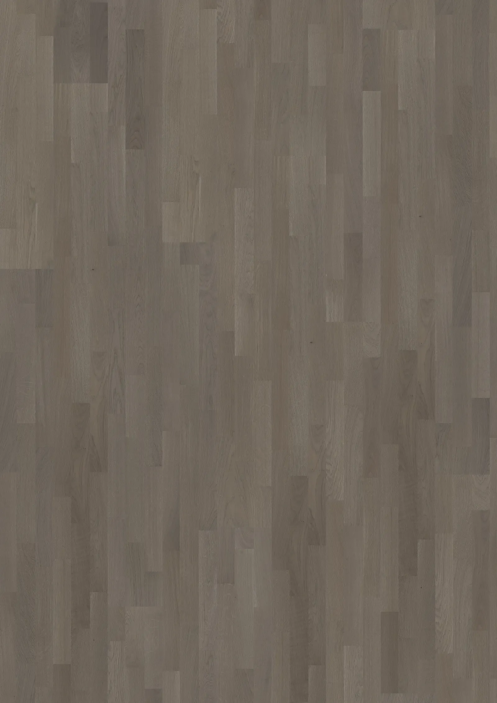 OAK CLAY