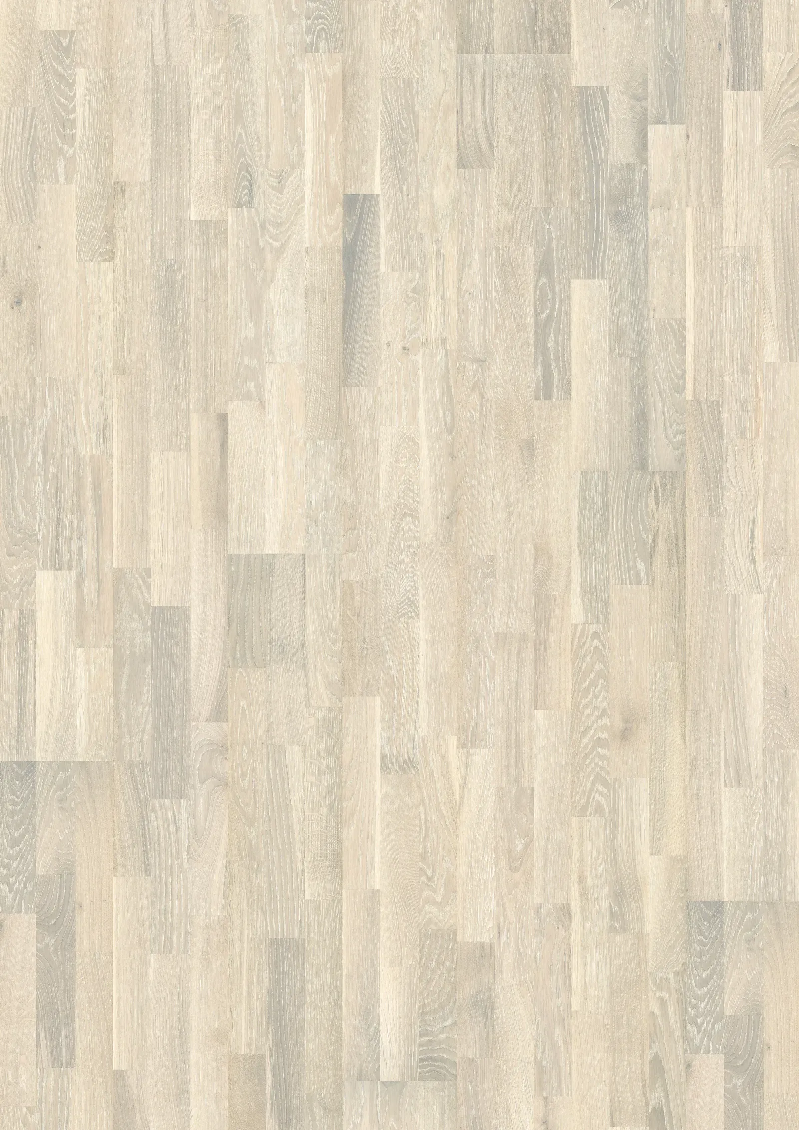 OAK PALE