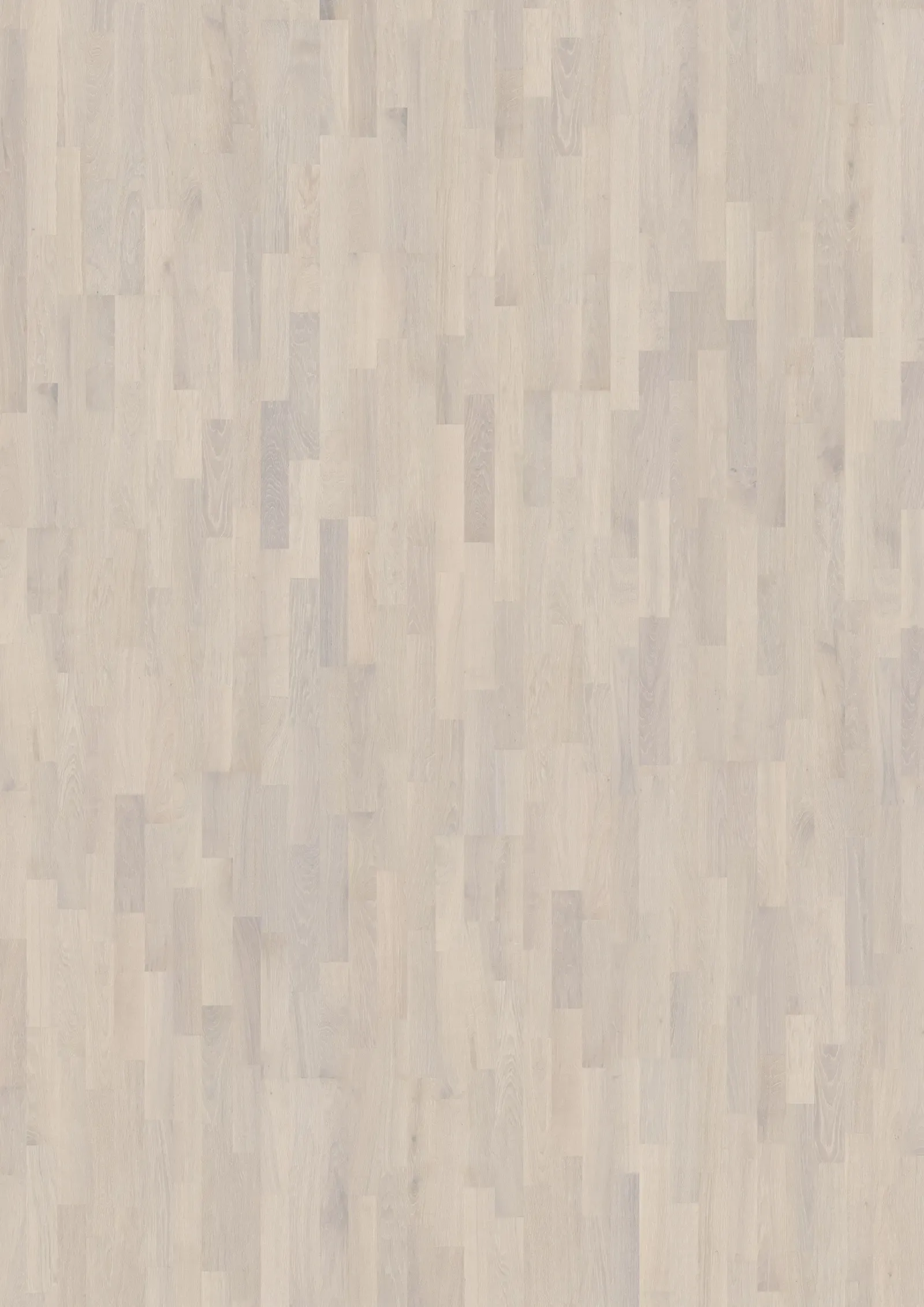 OAK RIME