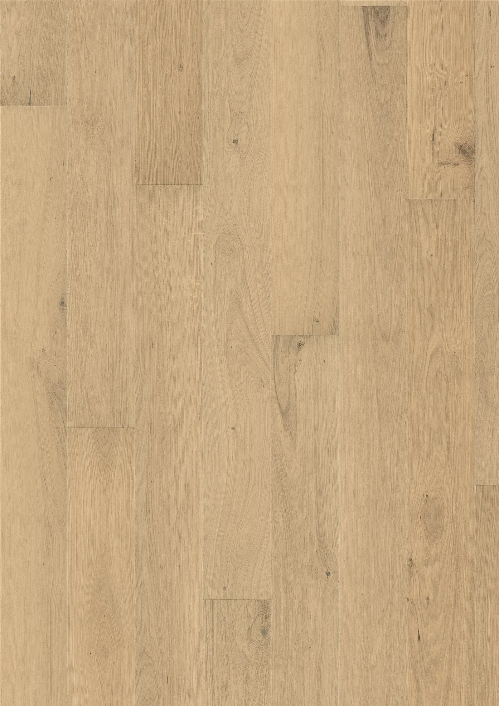 Sồi Piazza CD Dim White