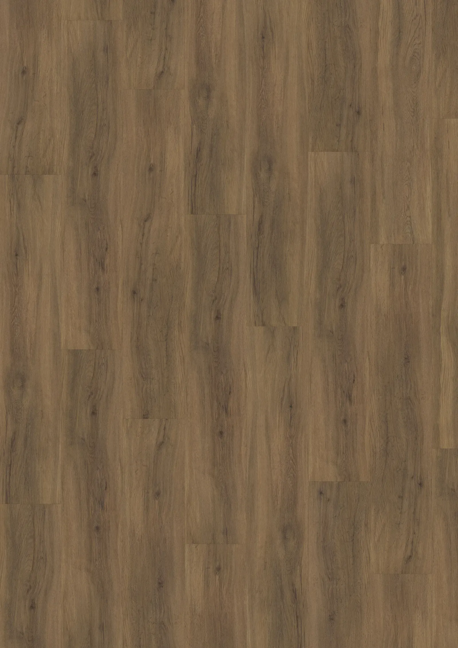 REDWOOD DRY BACK