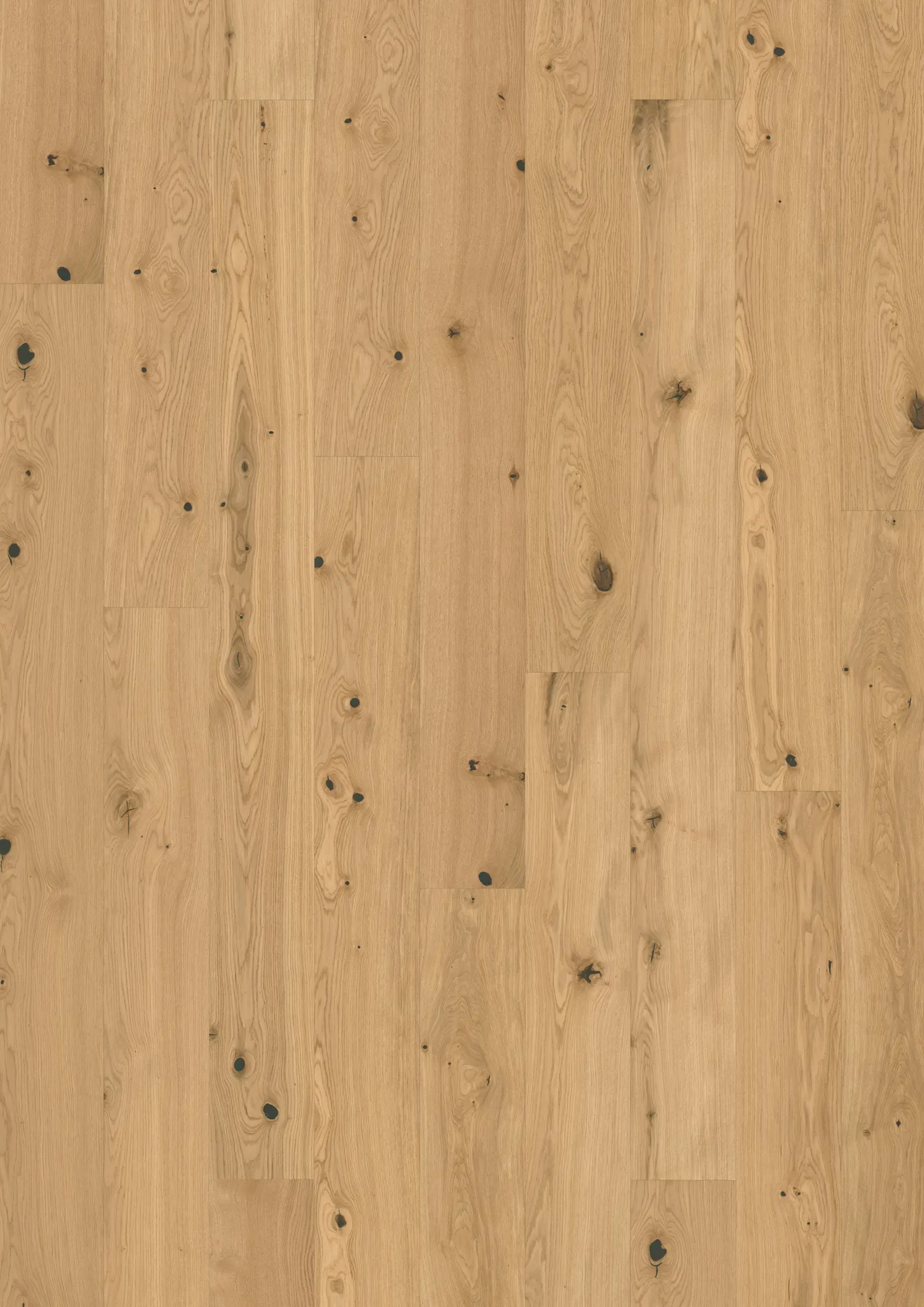 Sồi Fennel Ván sàn