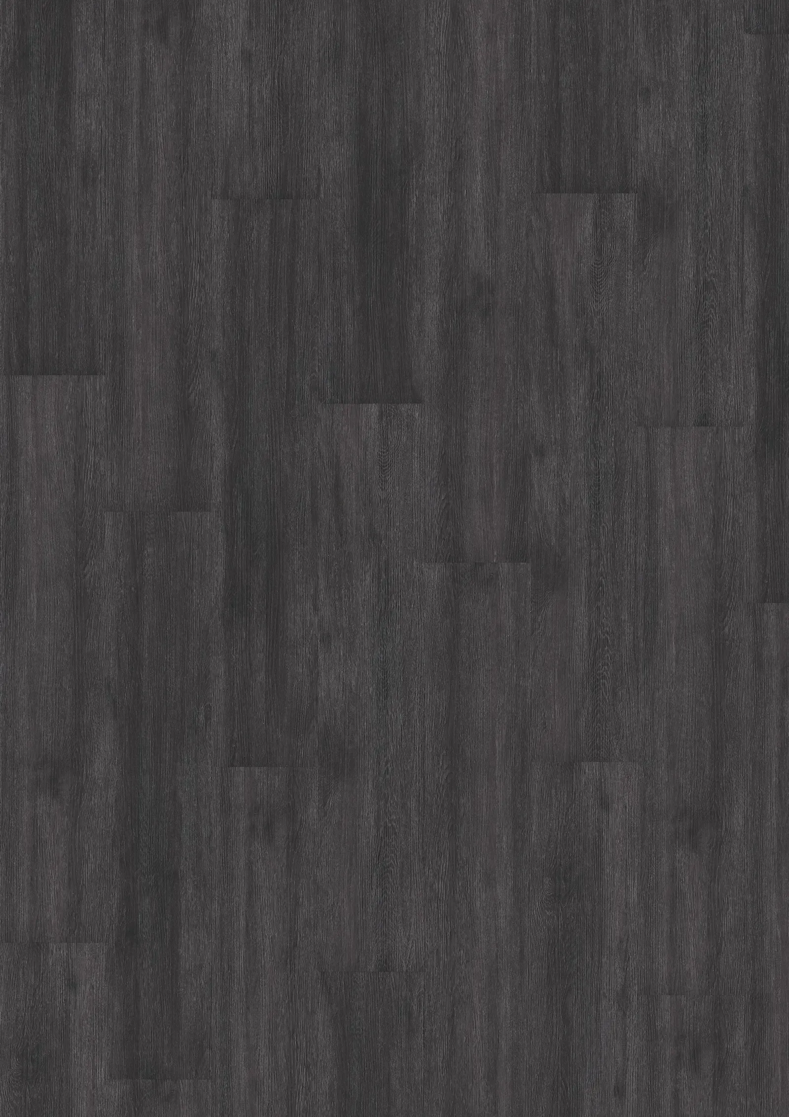 Schwarzwald Dry Back