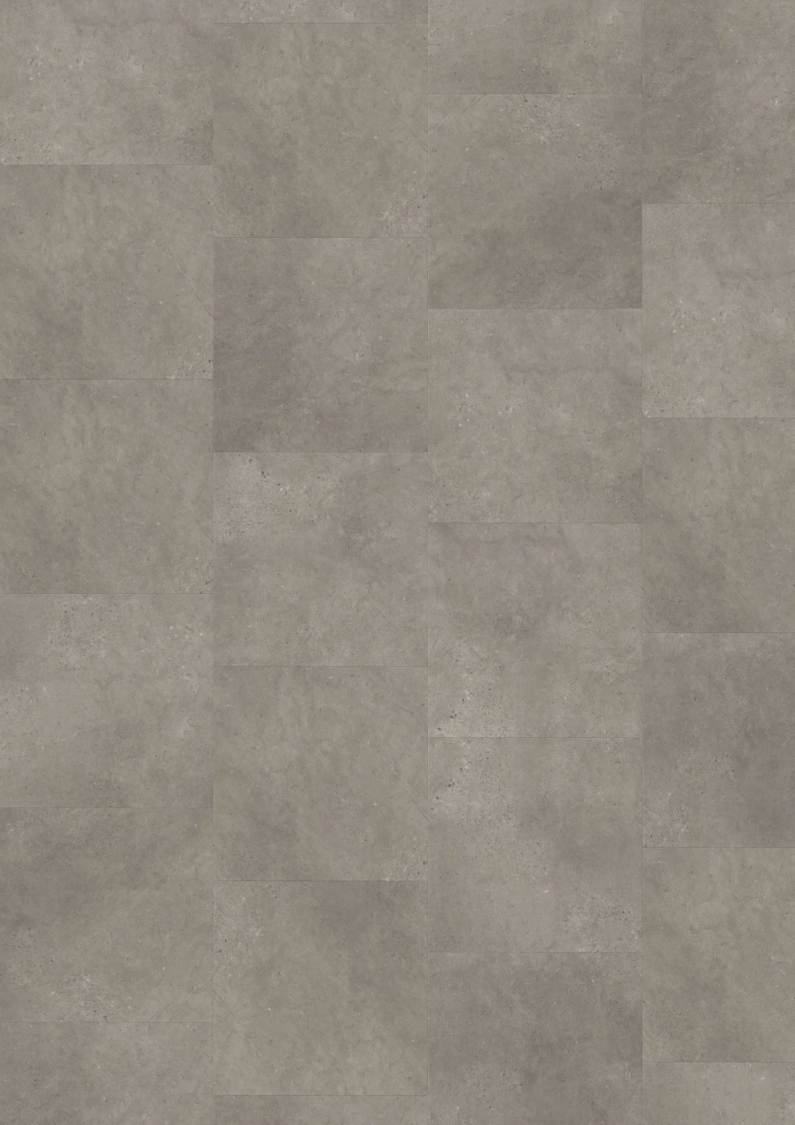 Lucania Dry Back