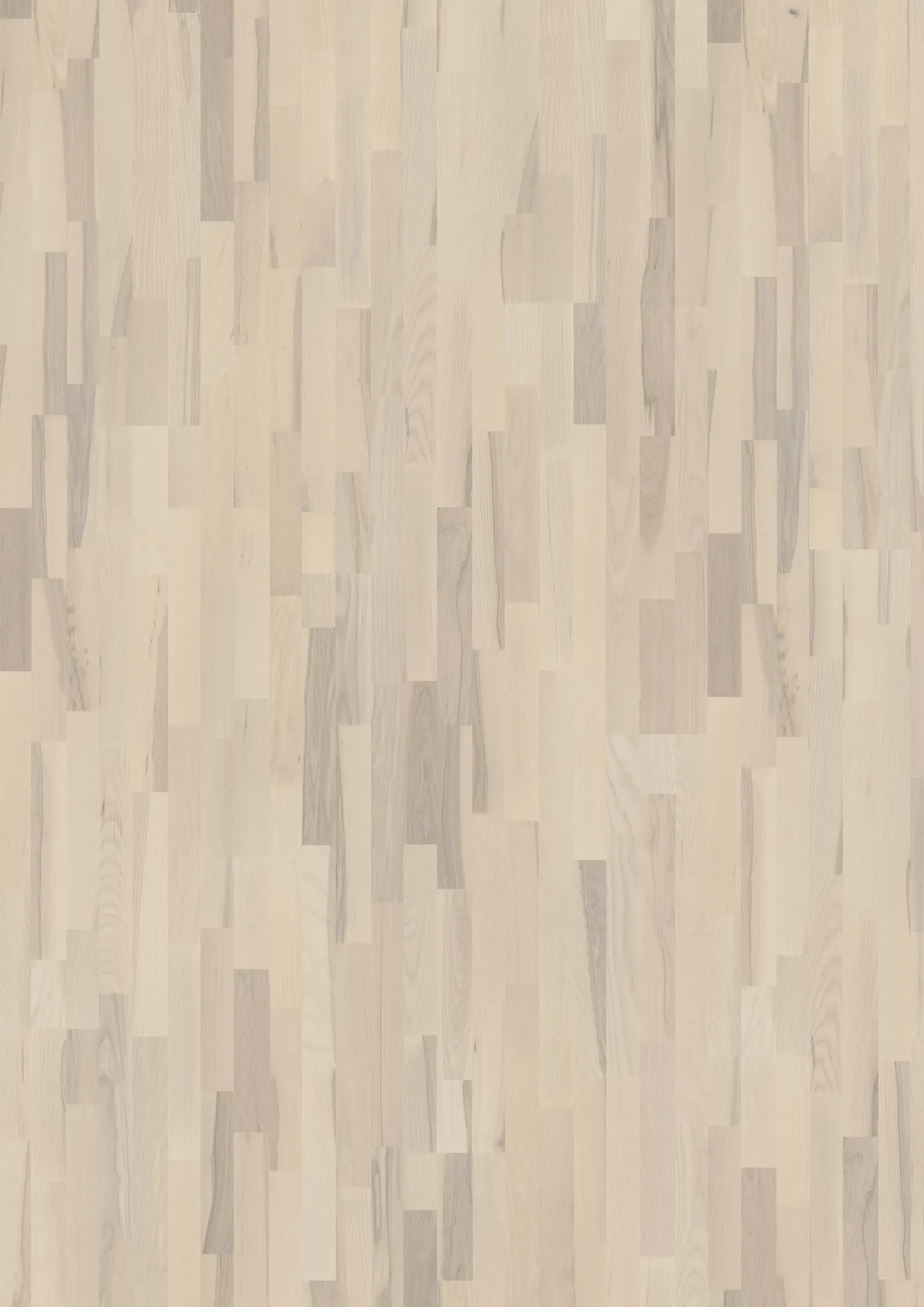 ASH CORAL