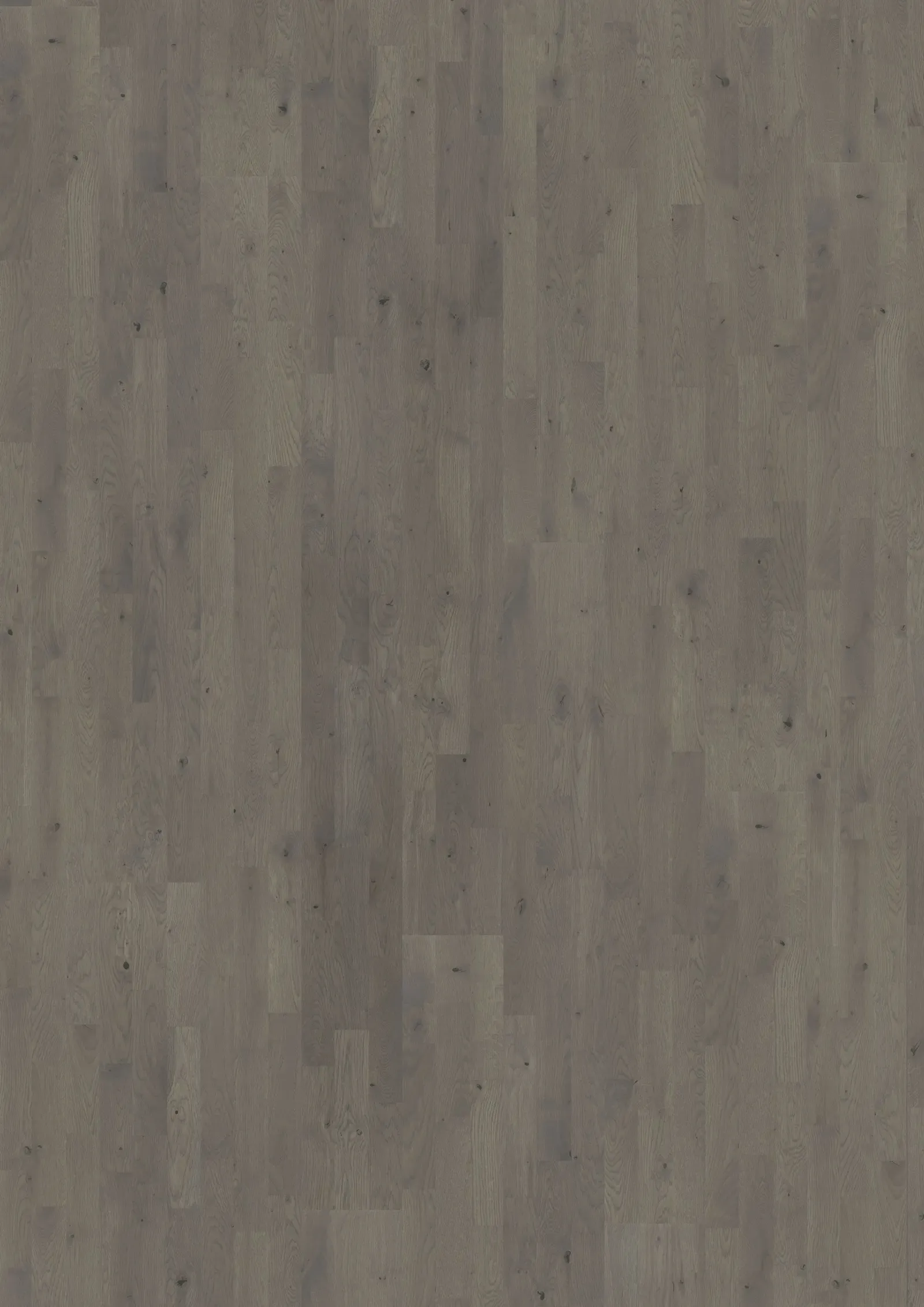 Sồi Pearl Grey Thanh