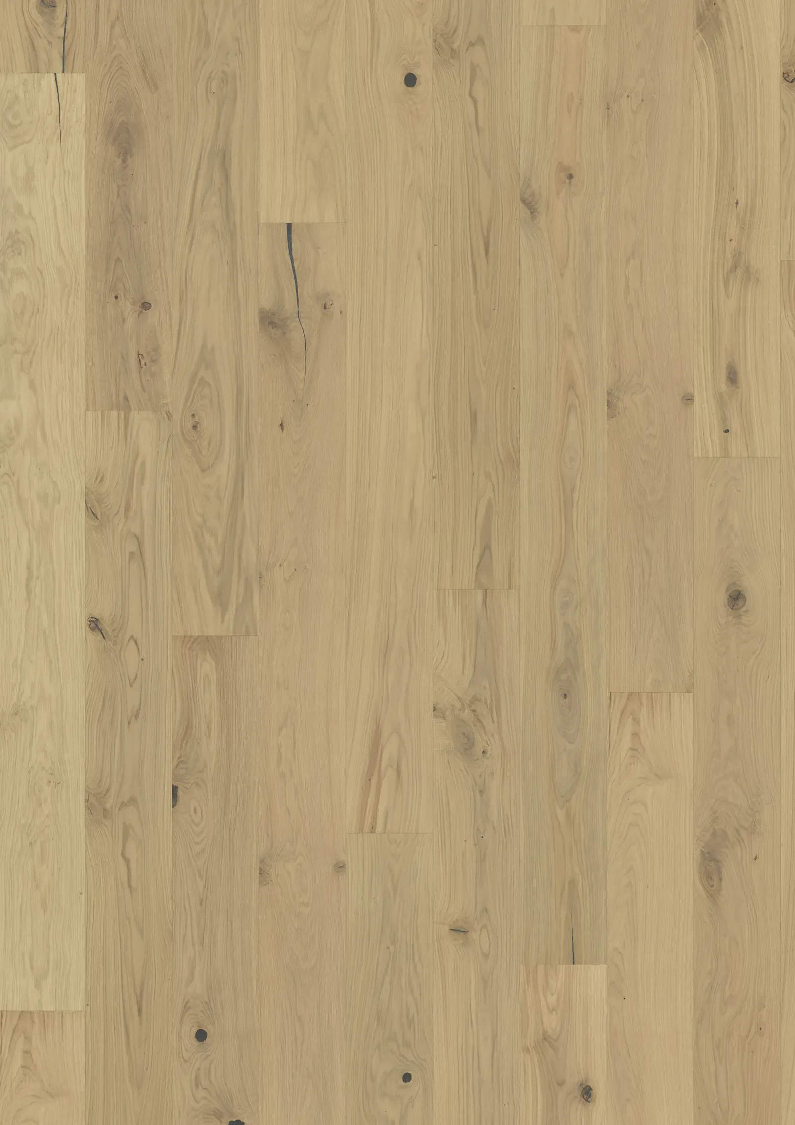 Sồi Urban Brown Ván sàn