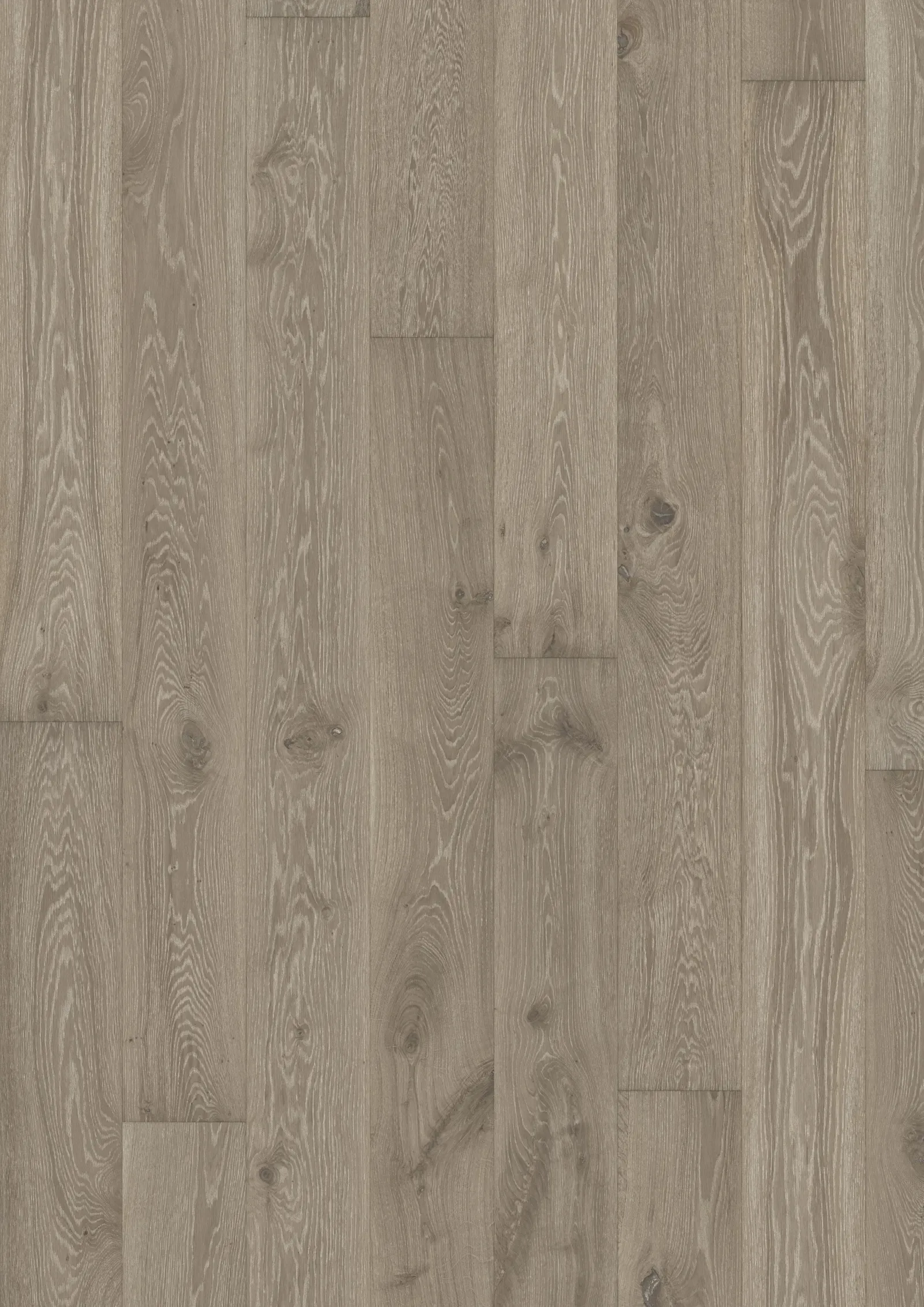 Sồi Nouveau Gray