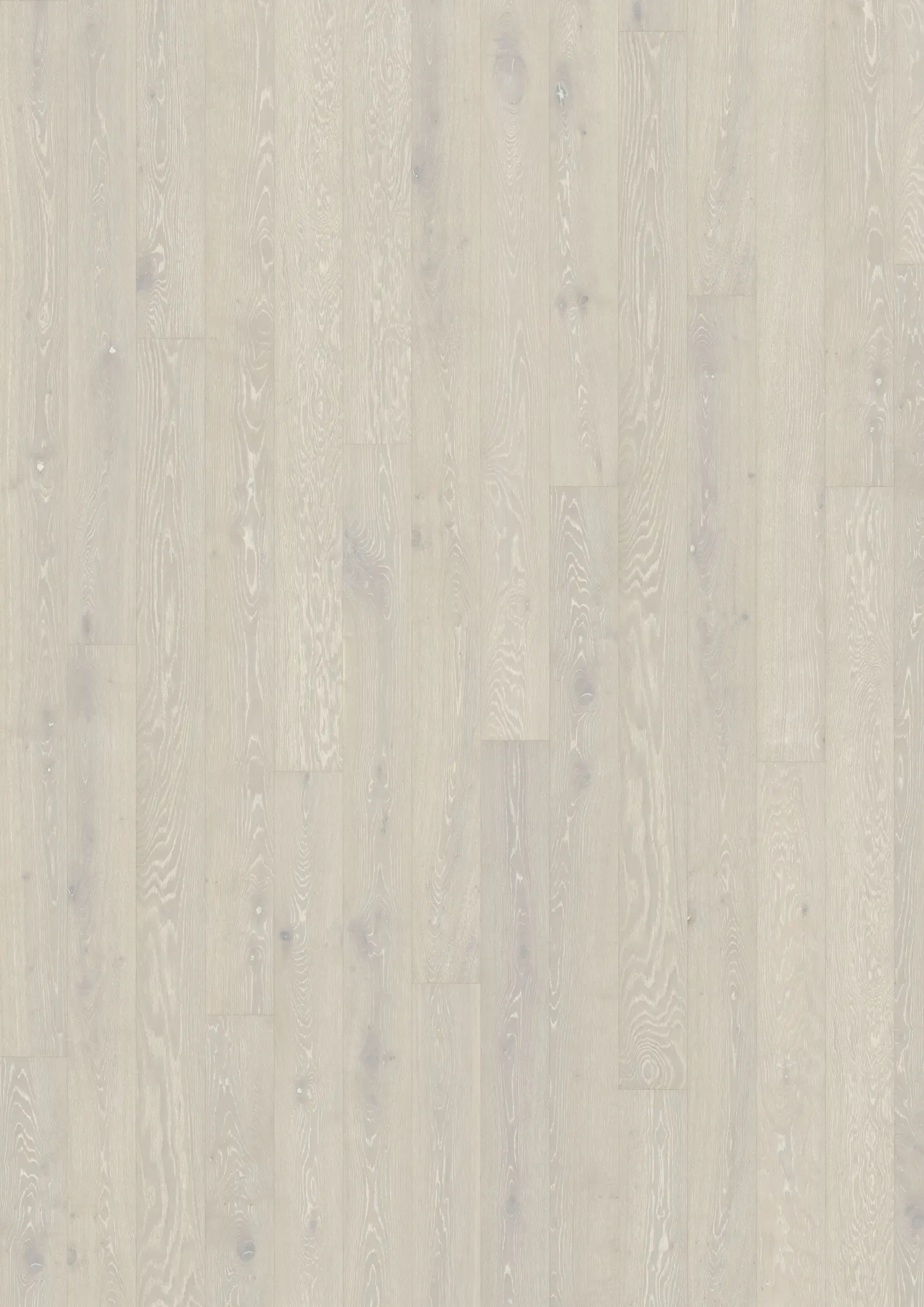 Sồi Bright 200