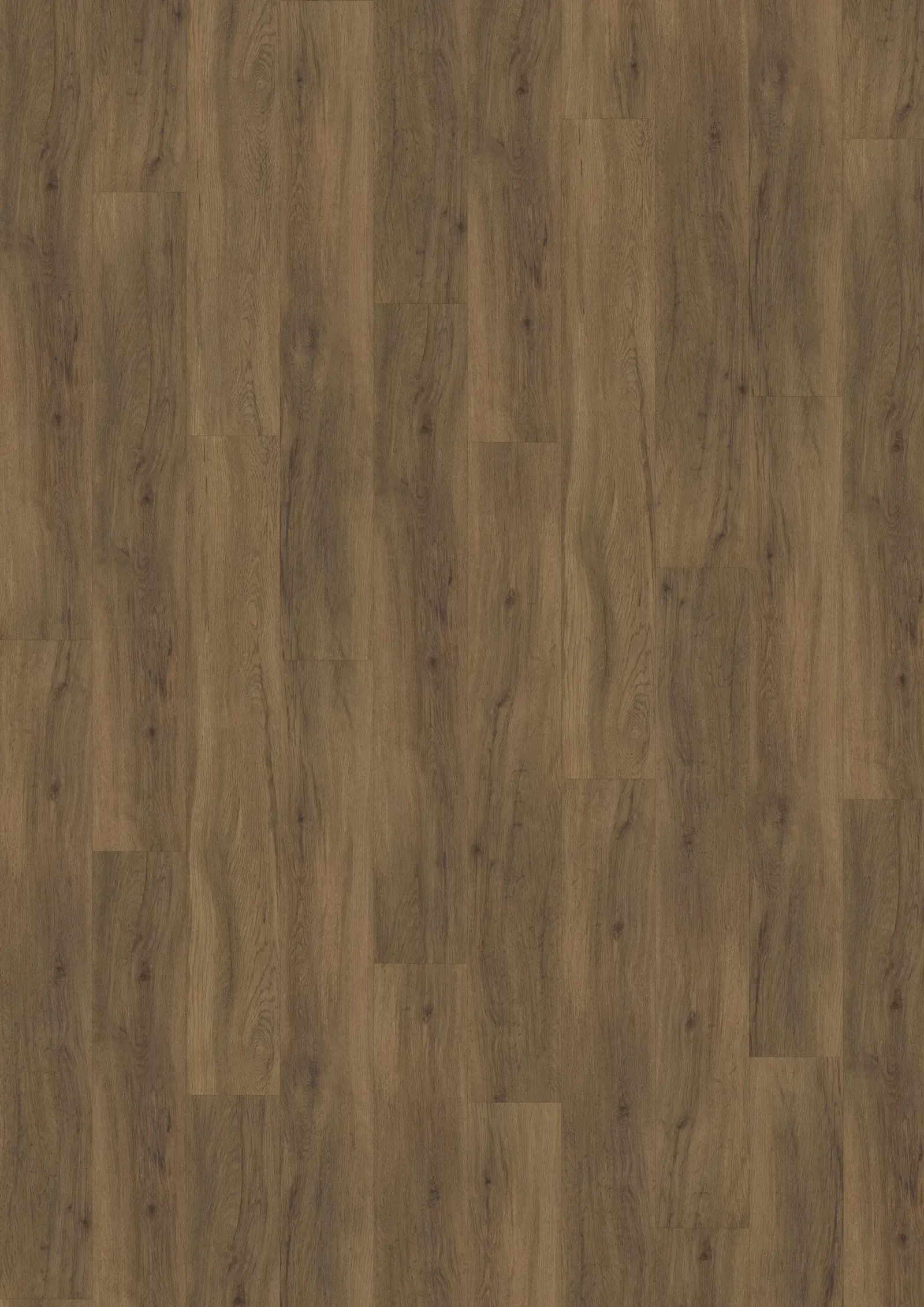 Mẫu Redwood Click 5 mm