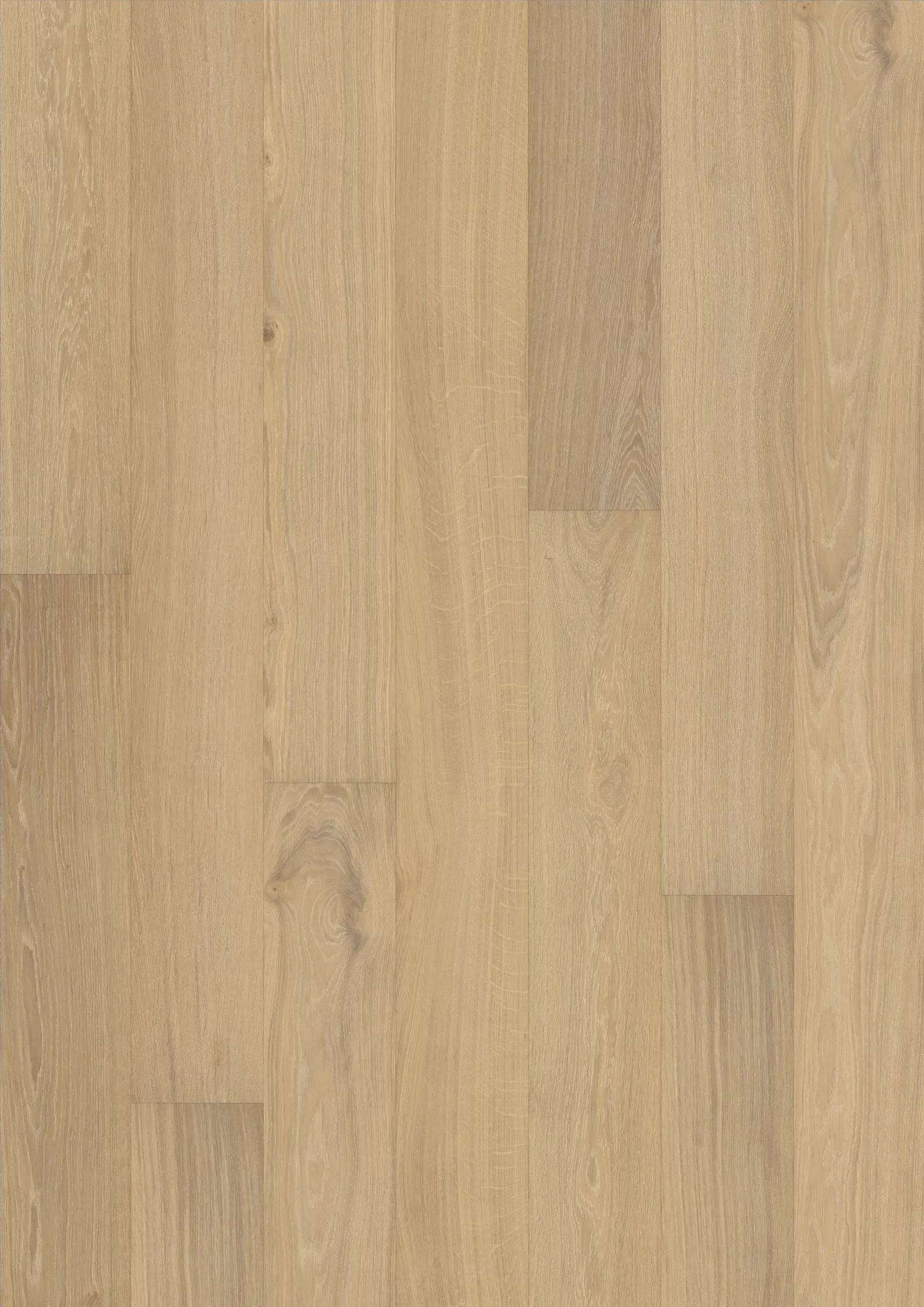 OAK PARIS ULTRA MATT 226 swatch