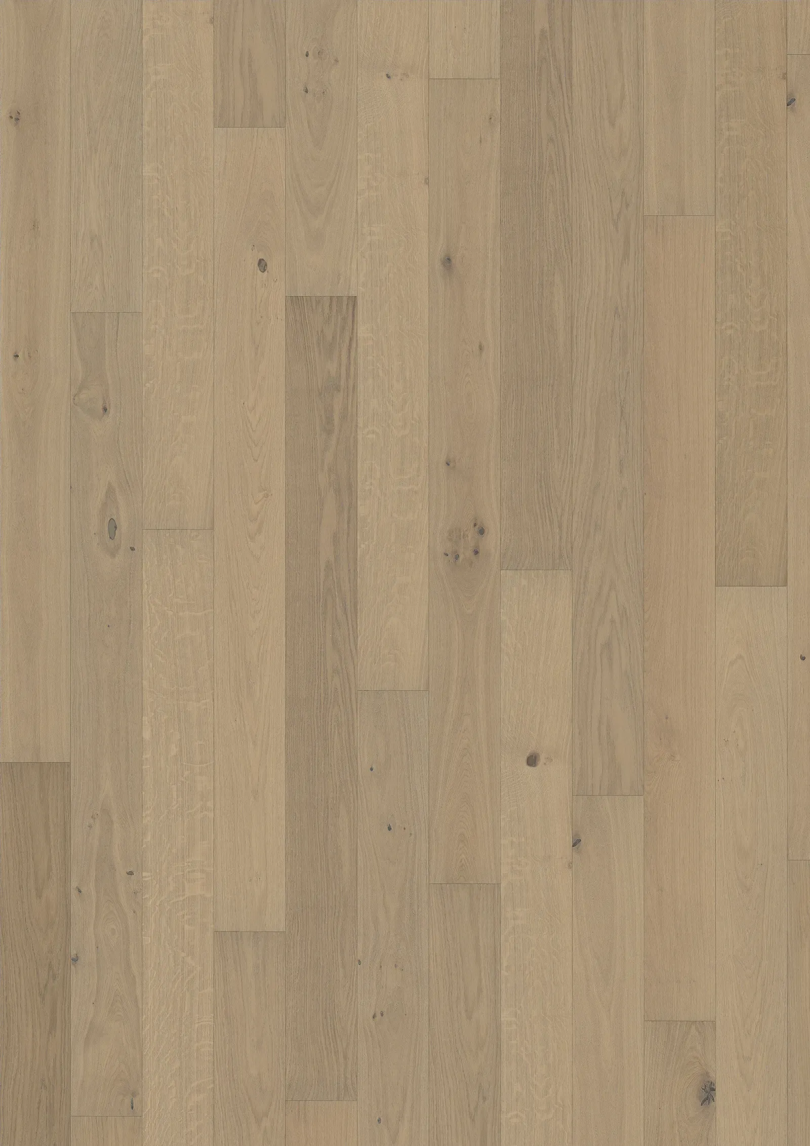 OAK NOUVEAU WHITE 226
