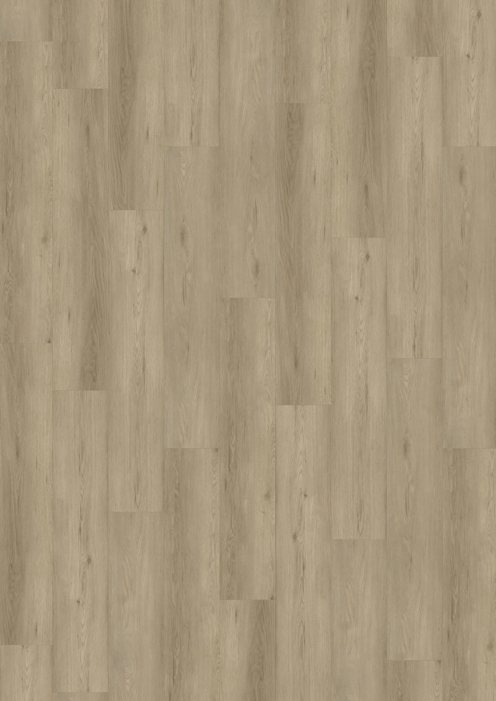 PERLINO CLICK 5 MM swatch