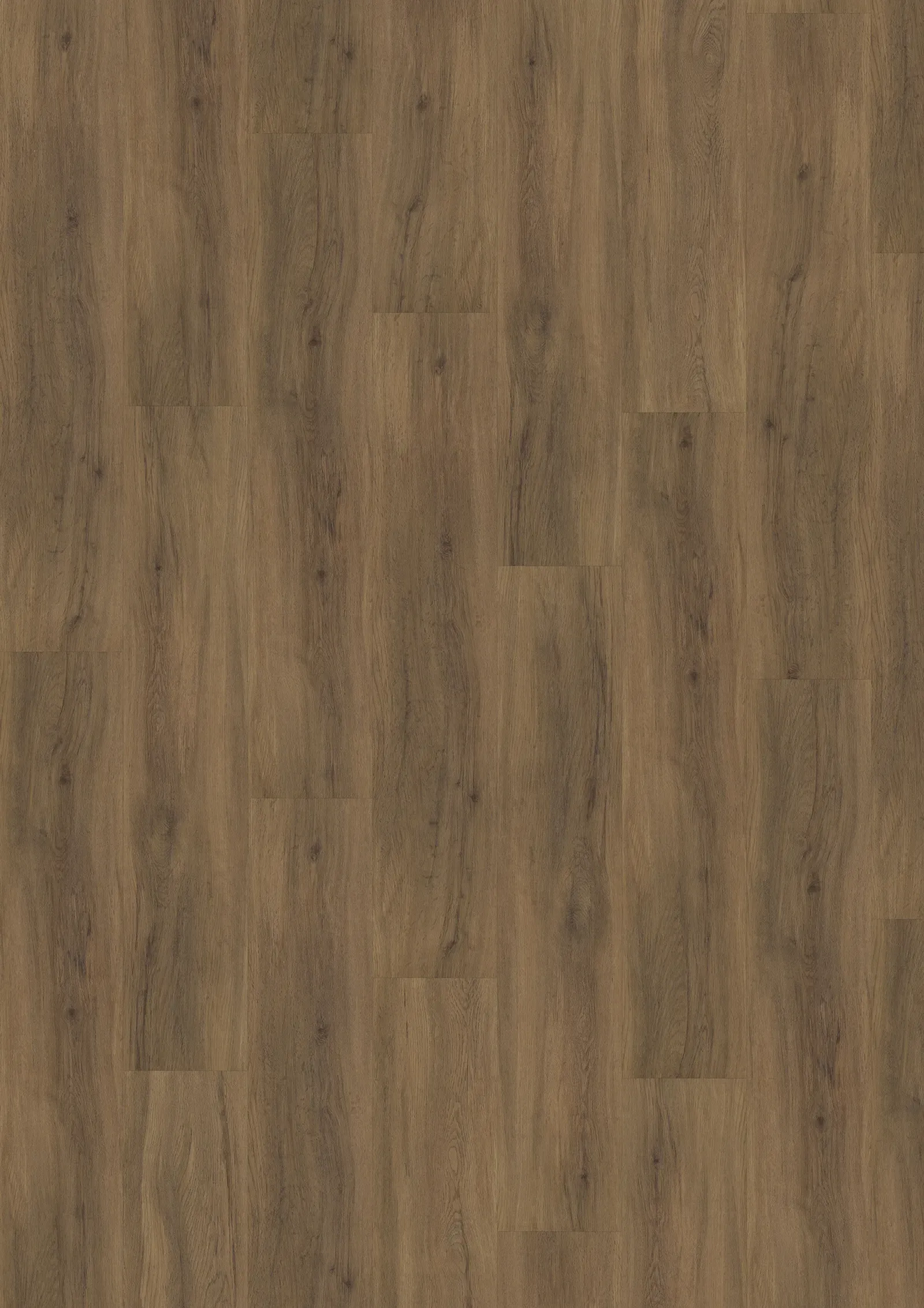 Mẫu Redwood Click 6 mm