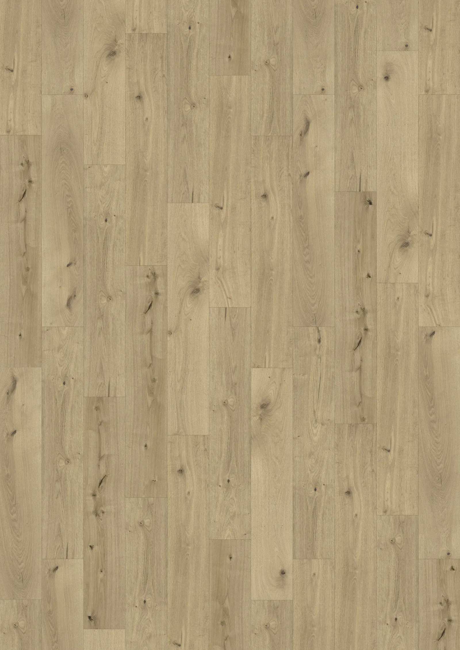 Mẫu Coconino Dry Back 0.55 mm