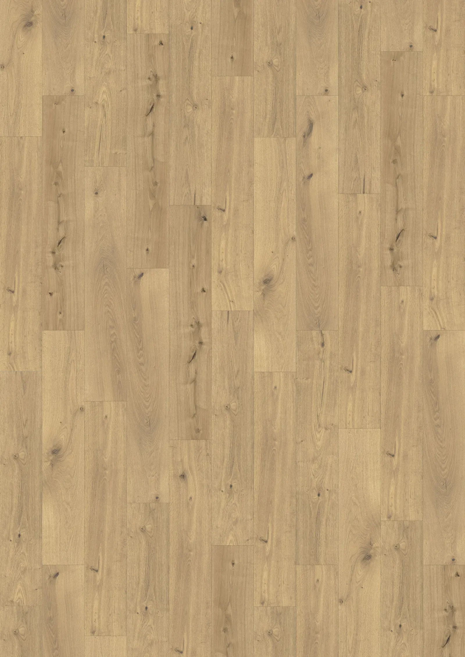Mẫu Thuringian Dry Back 0.55 mm