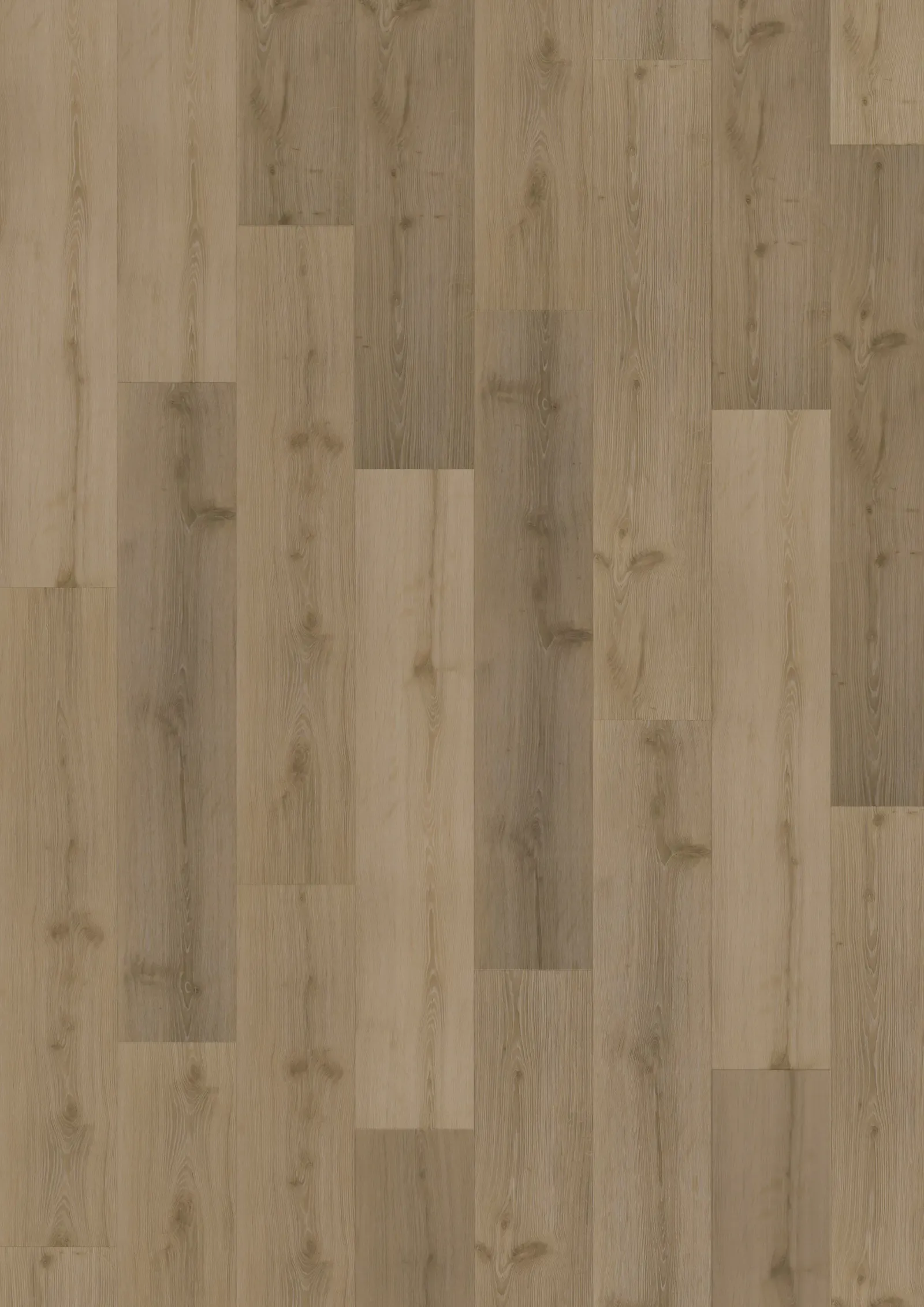 Mẫu Foloi Dry Back 0.55 mm