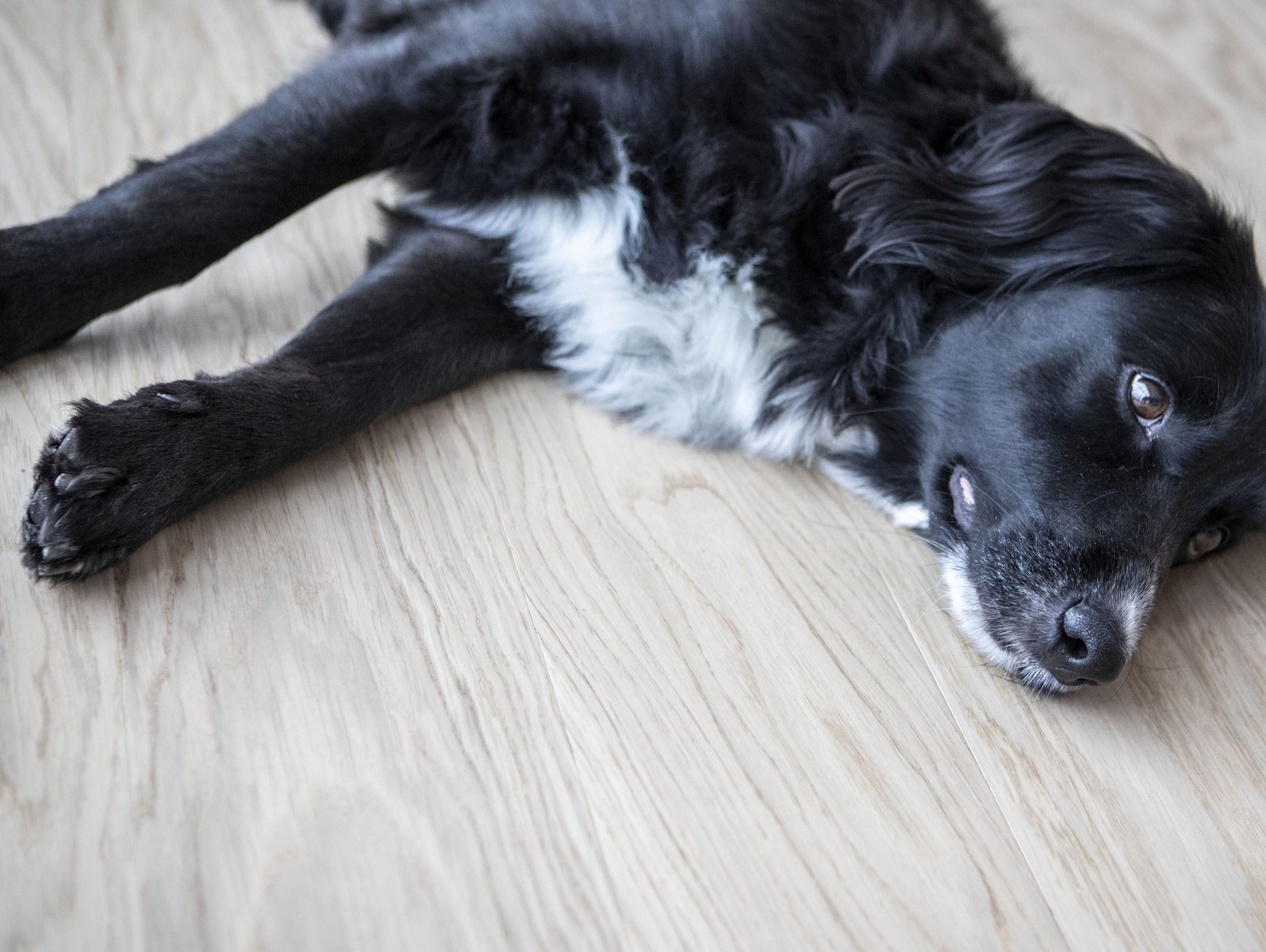 Scratch and stain-resistant surface