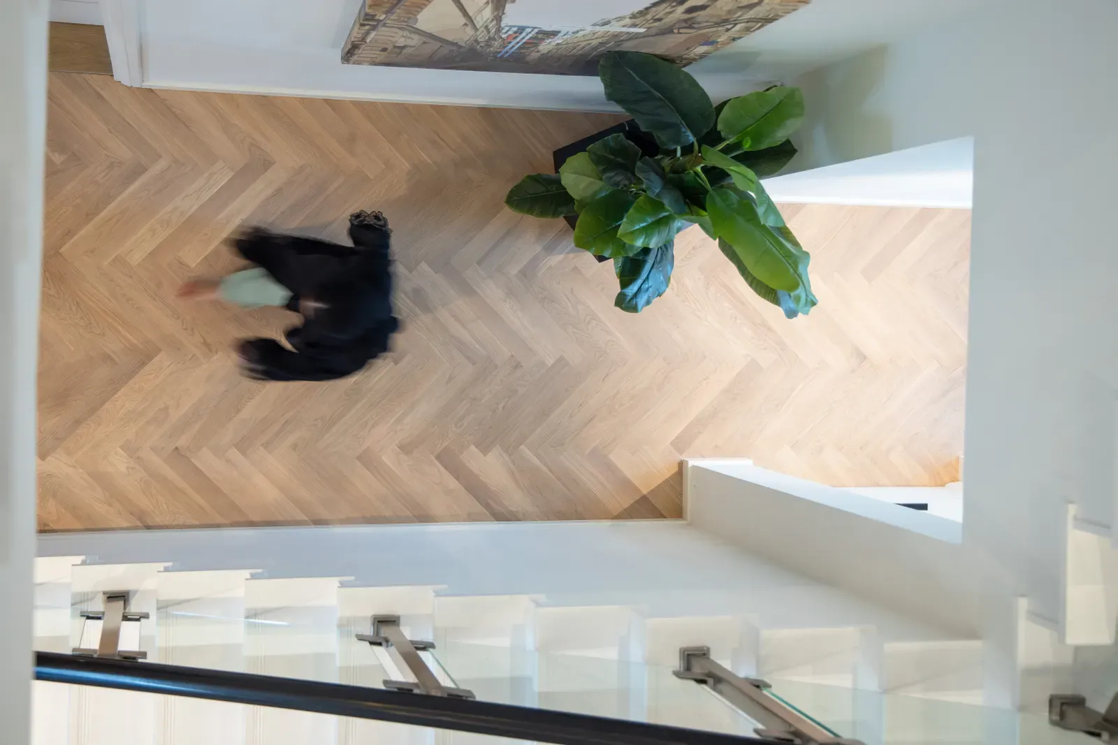 Sồi Studio AB White Mờ