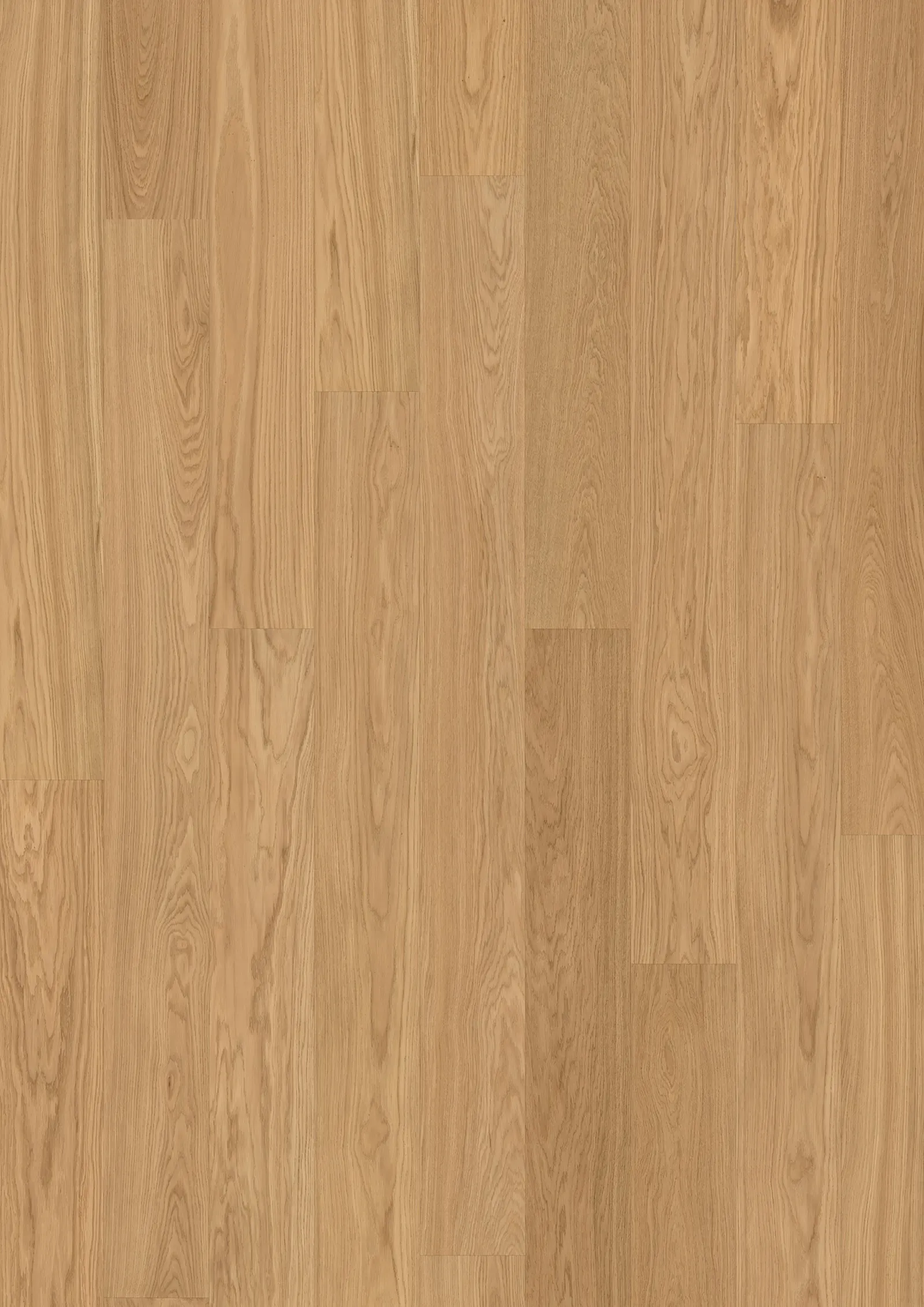 Oak Nutmeg