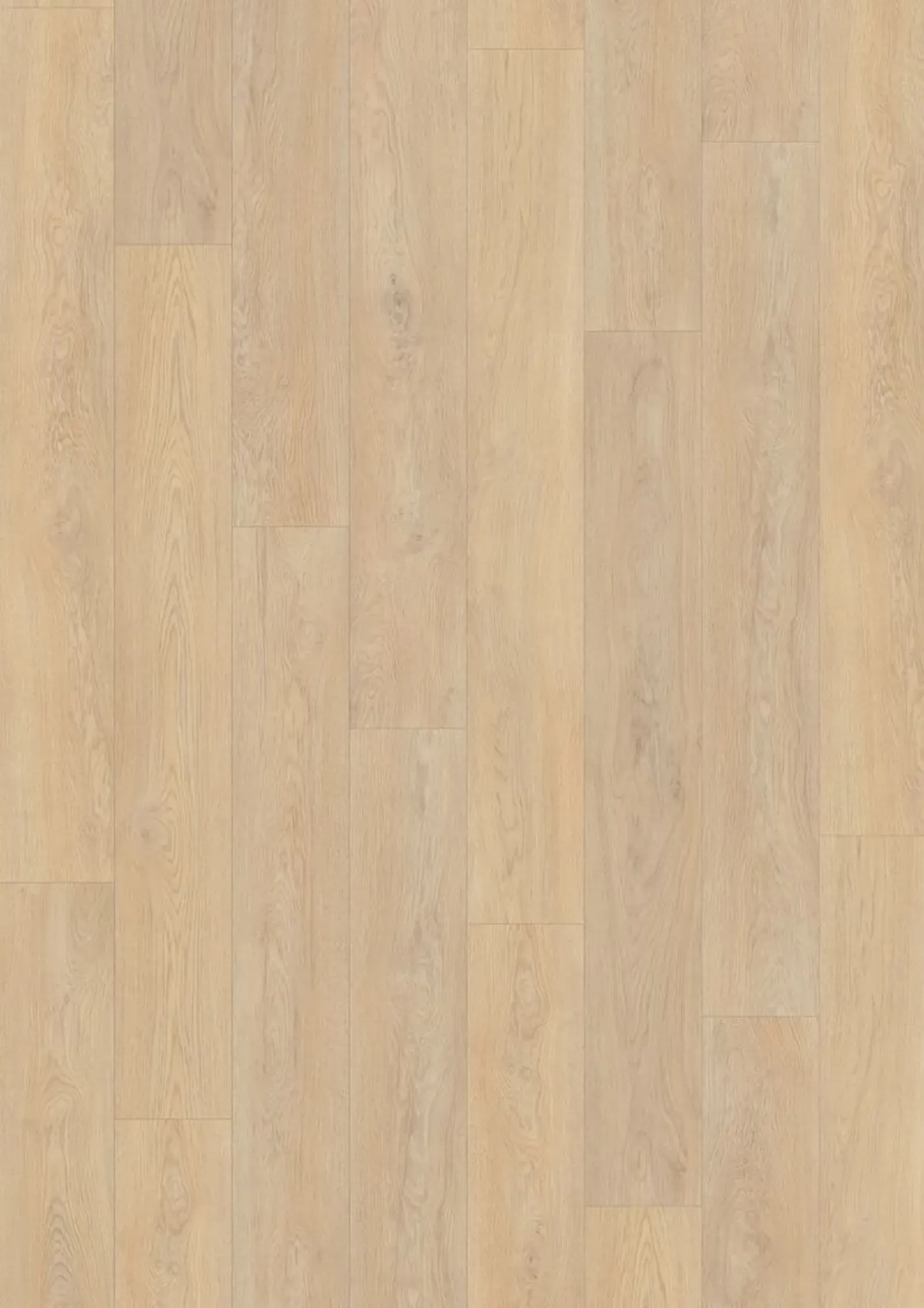 Fusion Plank