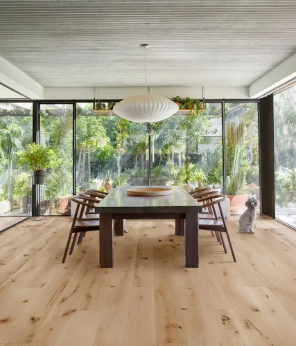 Gỗ Sồi Ovis trong không gian phòng