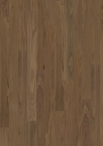 Pure Óc chó Bản rộng