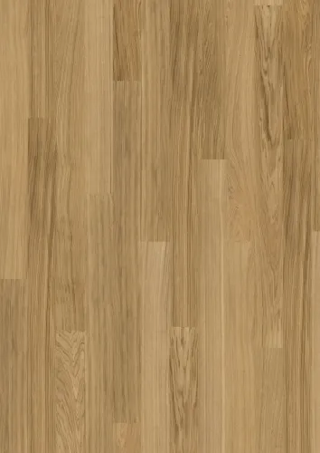 Pure Oak Bản rộng