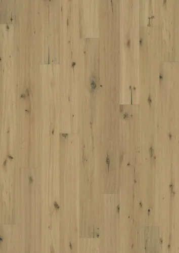 Gỗ Sồi Buckskin