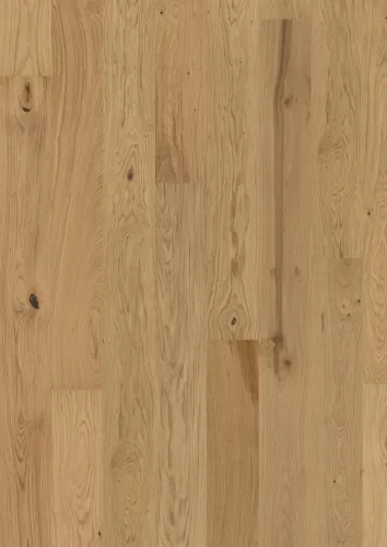 Gỗ Sồi Aster phủ mờ