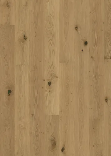 Gỗ Sồi Aster phủ dầu