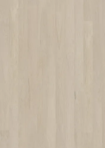 Coconut Cream Bản rộng