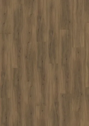 Redwood Dry Back