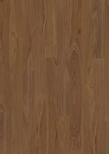 Gỗ Óc Chó Coriander Ván thẳng dài