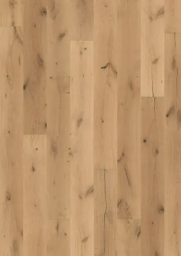 Gỗ Sồi Boreas