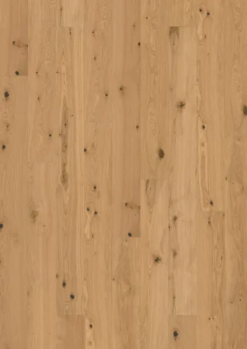 Gỗ Sồi Cardamom Ván thẳng dài