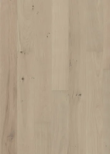Gỗ Sồi Muse Bản rộng phủ mờ