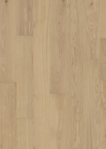 Gỗ Sồi Fawn Bản rộng phủ mờ